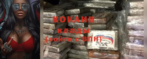 молекула духа Ельня