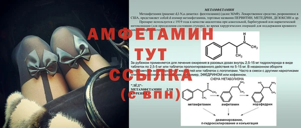 молекула духа Ельня