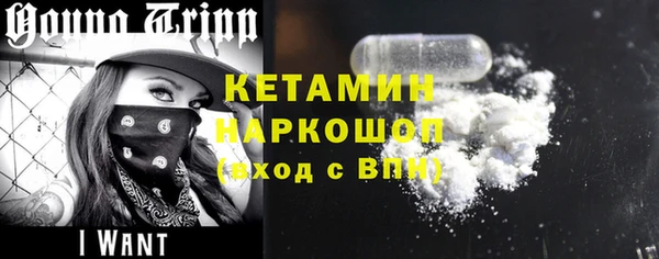 молекула духа Ельня