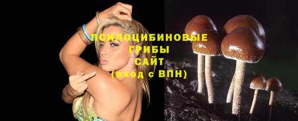 MDMA Premium VHQ Елабуга