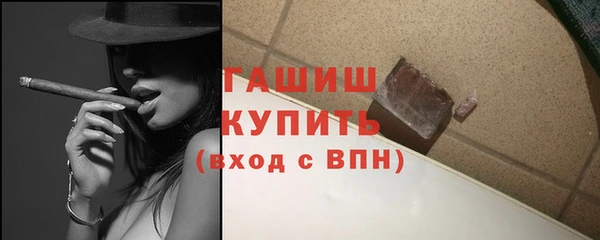 молекула духа Ельня