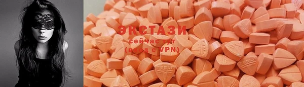 молекула духа Ельня