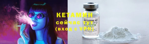 сатива Дмитров