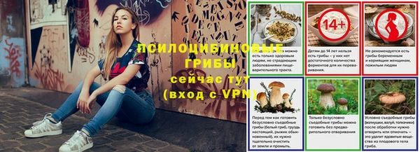 спайс Дмитровск
