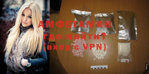 молекула духа Ельня