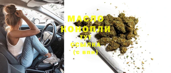 молекула духа Ельня