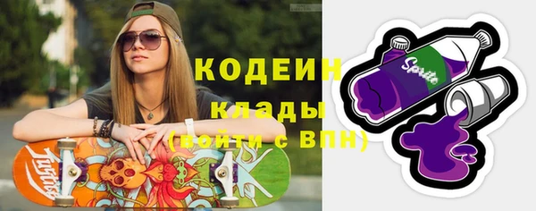 молекула духа Ельня