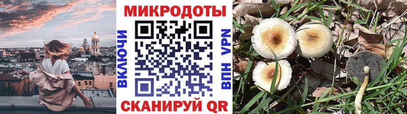 гидра как войти Назрань Псилоцибиновые грибы мицелий